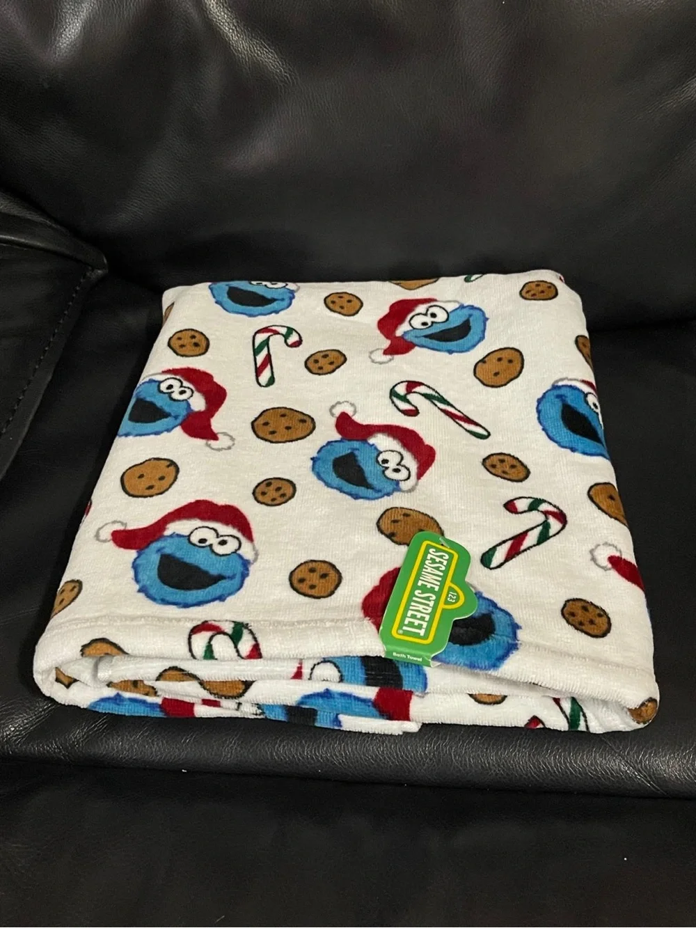 Christmas Sesame Street Cookie Monster Hand Towels, Set of 2